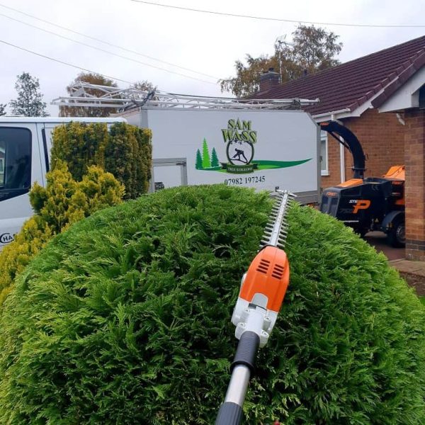 hedge shaping