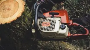 tree surgeon nottingham